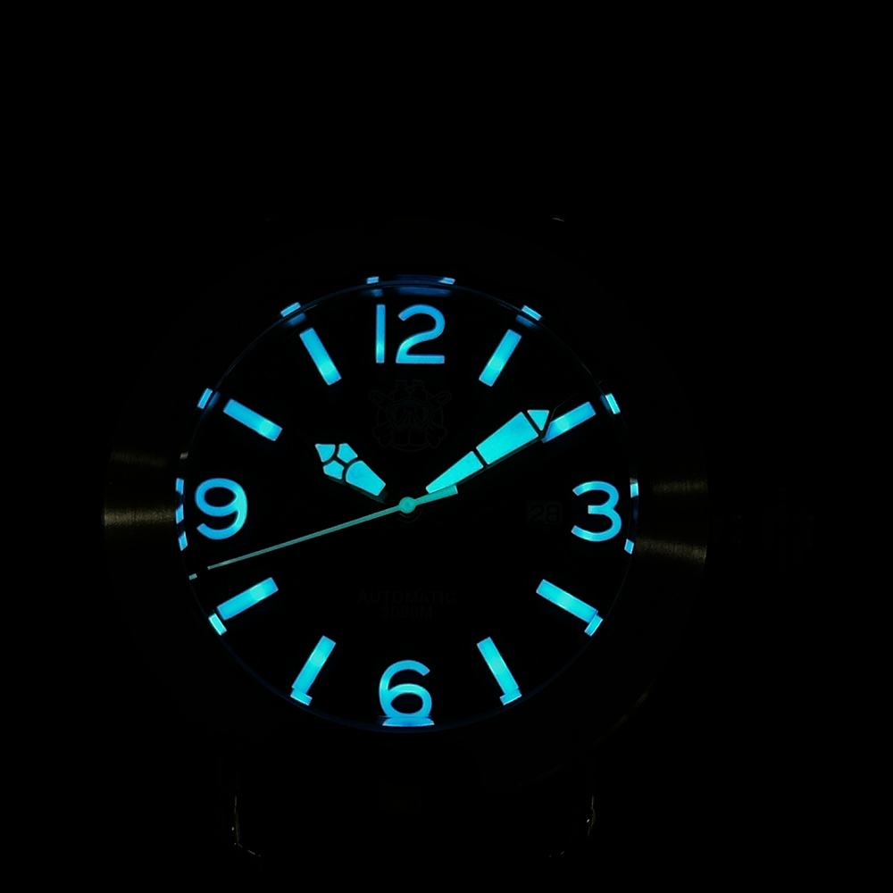Steeldive 2025 Watch SD1912 Ov - đánh giá và giá Seiko Watch Prospex