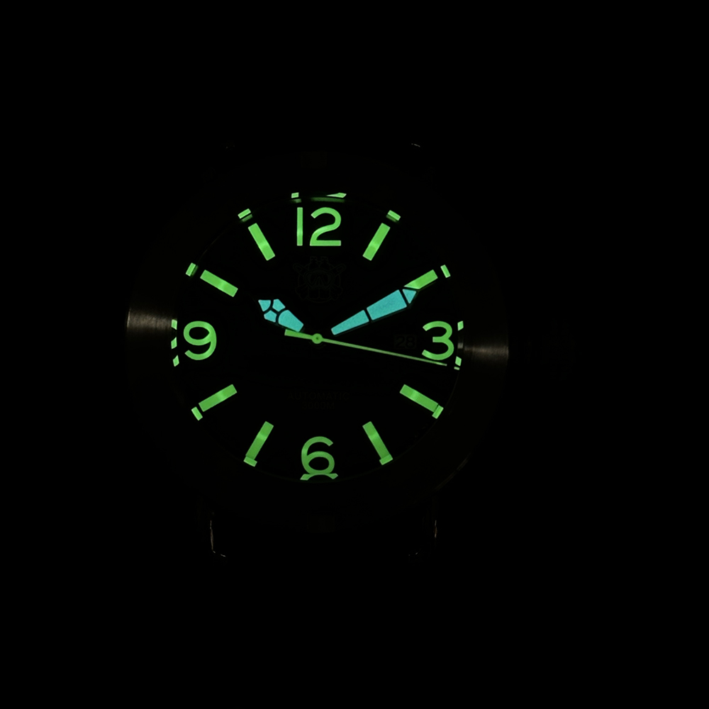 Steeldive 2025 Watch SD1912 Ov - đánh giá và giá Seiko Watch Prospex