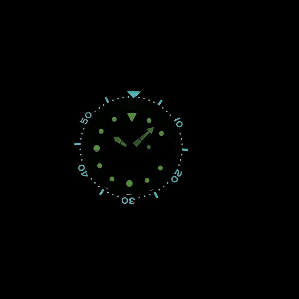 STEELDIVE SD1975 Turquoise Sun - đánh giá và giá Seiko Watch Prospex