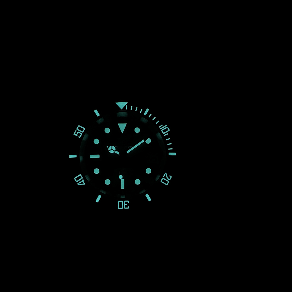 Steeldive New Watch SD1953C Wa - đánh giá và giá Seiko Watch Prospex